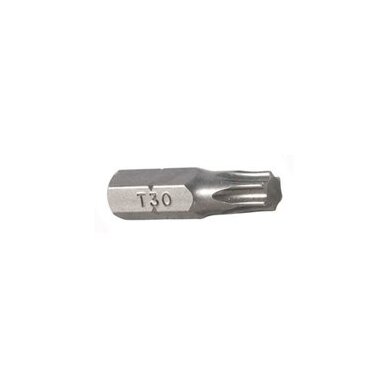 TORX bit (10mm)