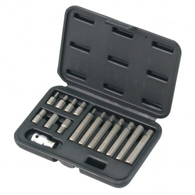 Screwdriver bit set 15pcs. HEX