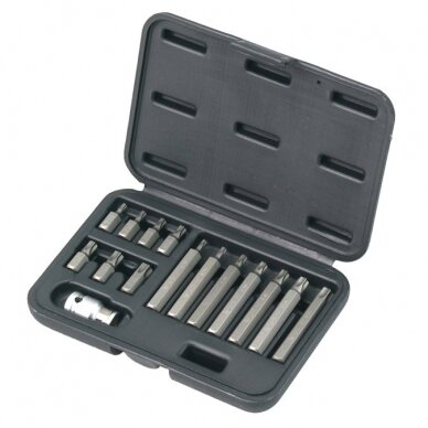 Screwdriver bit set 15pcs. TORX