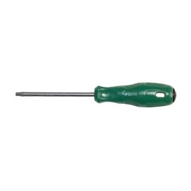 Screwdriver TORX